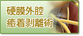 硬膜外腔癒着剥離術